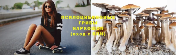 гашик Магас
