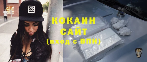 гашик Магас