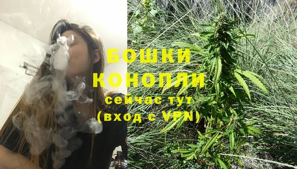 трава Майский