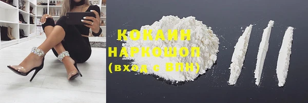 гашик Магас