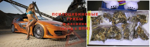 трава Майский
