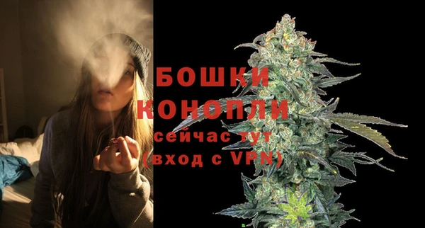 гашик Магас