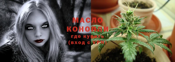 гашик Магас